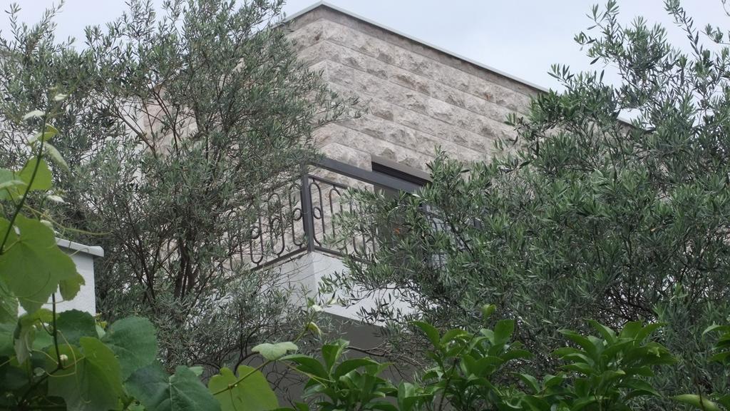 Apartments Minja Nerin Petrovac 외부 사진