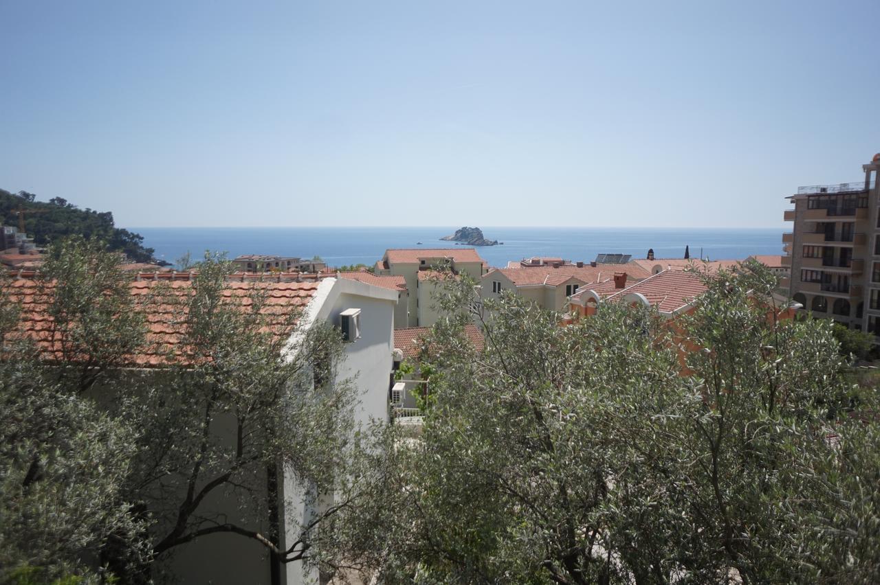 Apartments Minja Nerin Petrovac 외부 사진